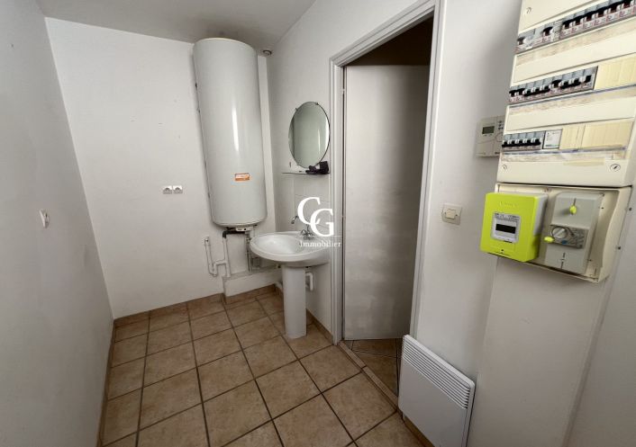 à vendre Maison Vieillevigne