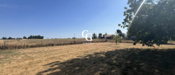 location Maison Vieillevigne