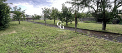 vente Terrain Vieillevigne