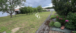 vente Terrain Vieillevigne