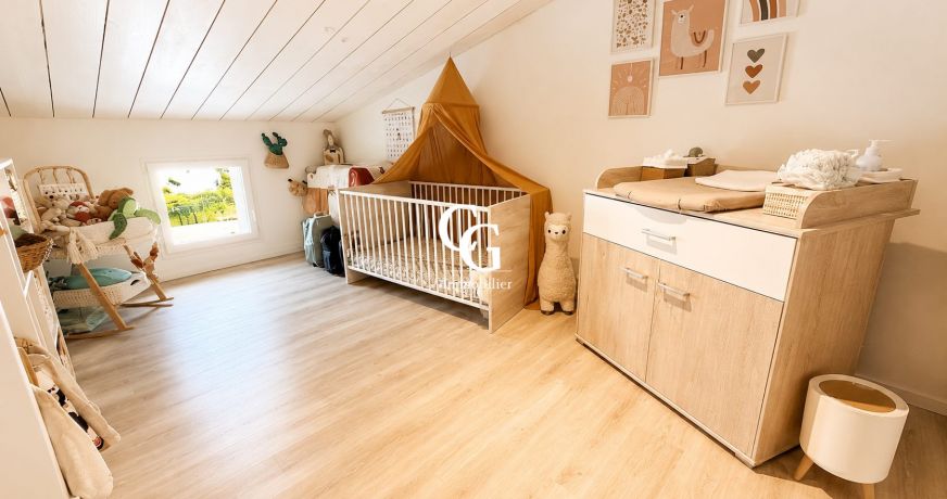 vente Maison Vieillevigne