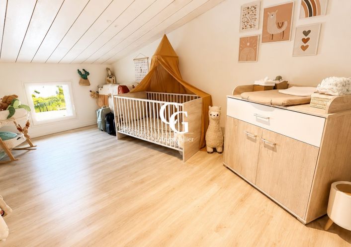 à vendre Maison Vieillevigne