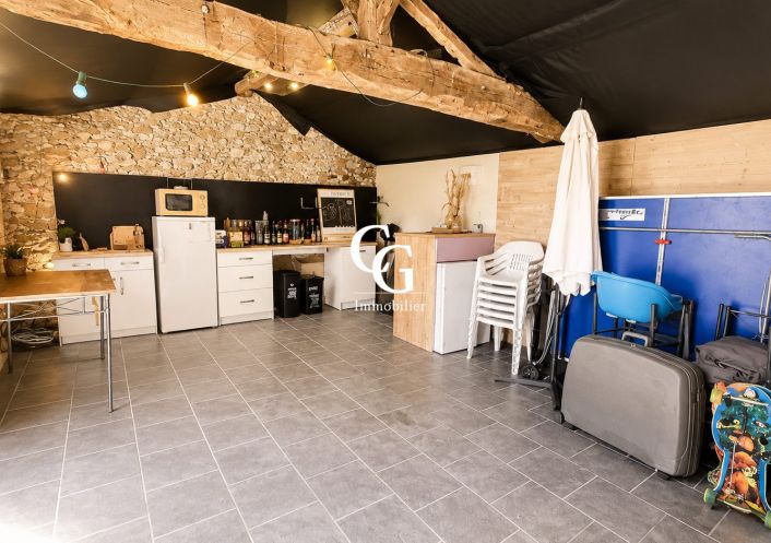 à vendre Maison Vieillevigne