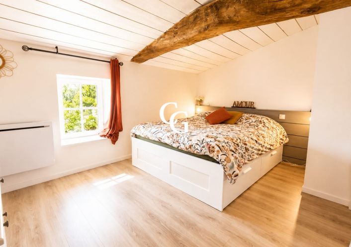 à vendre Maison Vieillevigne