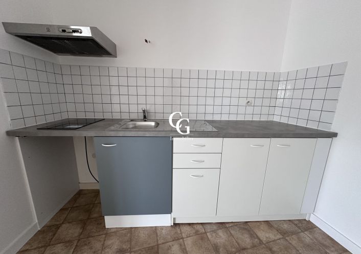 à louer Appartement Vieillevigne