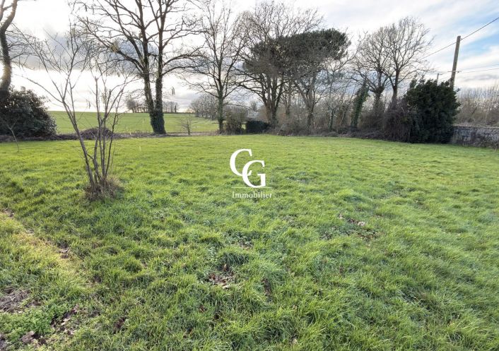 à vendre Maison Vieillevigne
