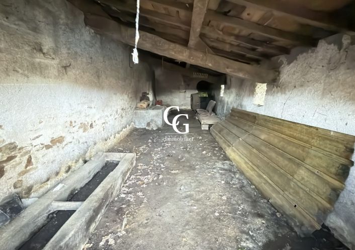 à vendre Maison Vieillevigne
