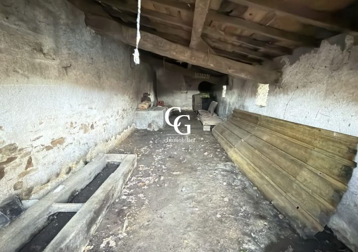 à vendre Maison Vieillevigne