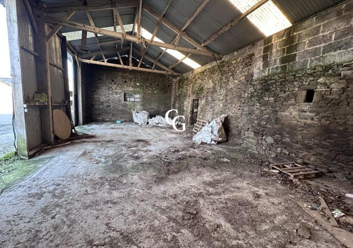 à vendre Maison Vieillevigne