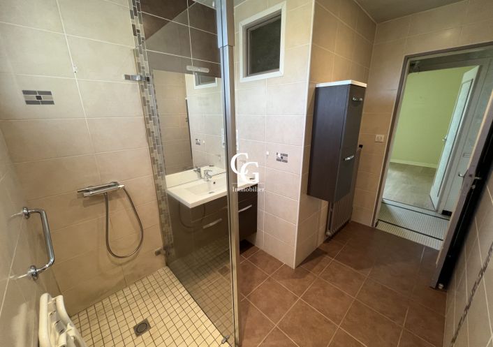 à vendre Maison Vieillevigne