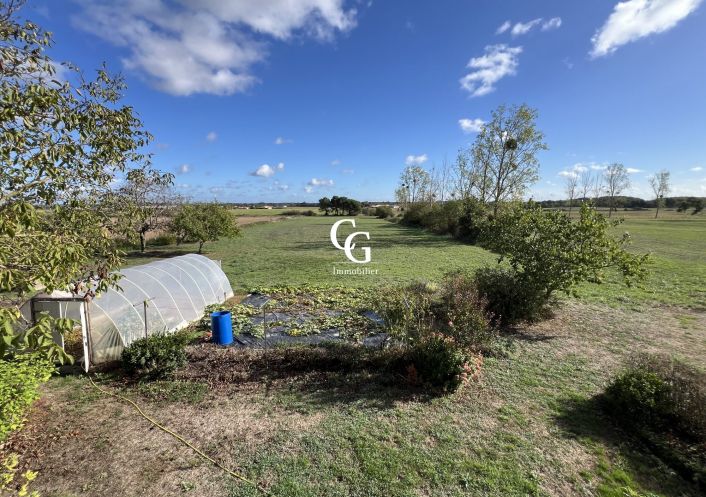 à vendre Maison Vieillevigne