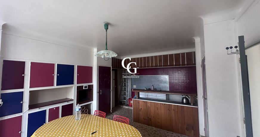vente Maison Vieillevigne