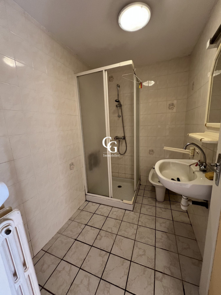à vendre Maison Vieillevigne - Photo 8