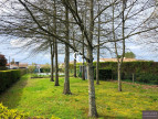 vente Terrain Vieillevigne