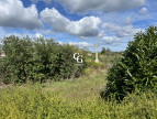 vente Terrain Aigrefeuille-sur-maine