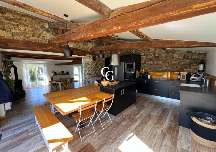 à vendre Maison Vieillevigne