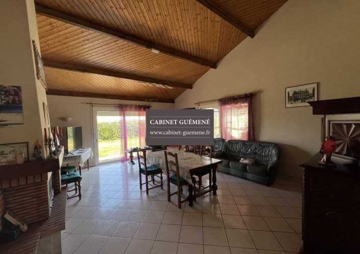 à vendre Maison Vieillevigne