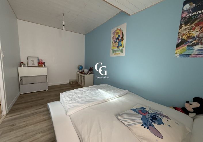 à vendre Maison Vieillevigne