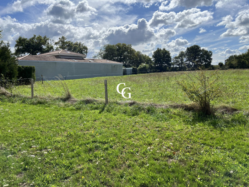 vente Terrain Aigrefeuille-sur-maine - Photo 1