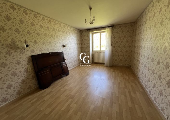 à vendre Maison Vieillevigne