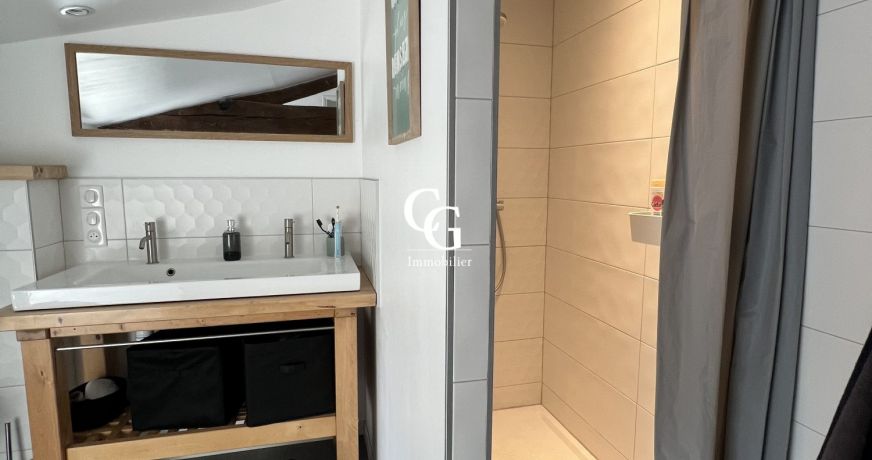 vente Maison Vieillevigne