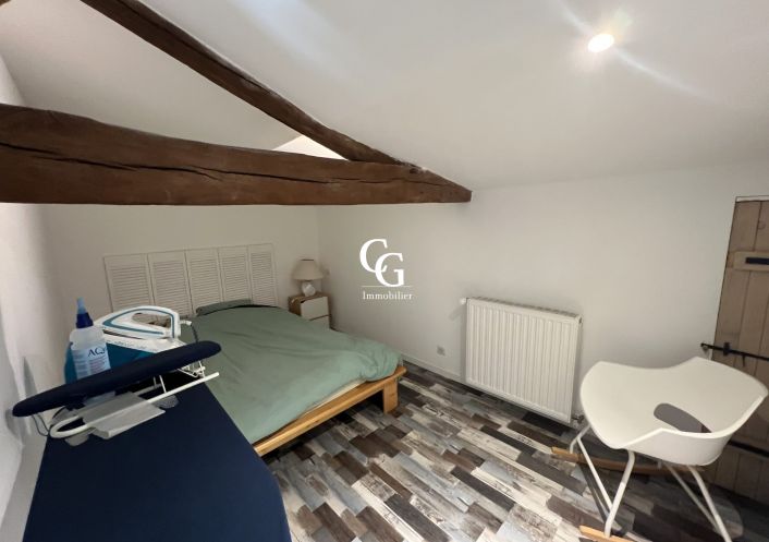 à vendre Maison Vieillevigne