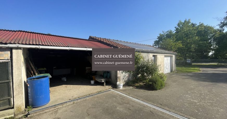 vente Maison Vieillevigne