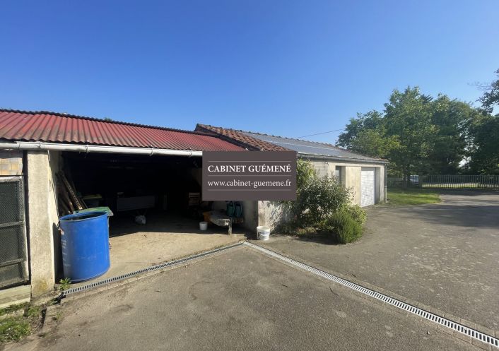 à vendre Maison Vieillevigne