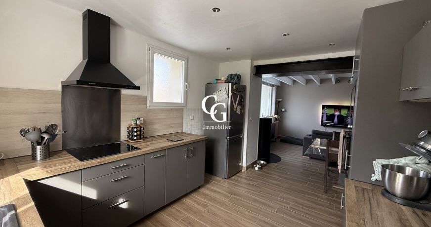 vente Maison Vieillevigne