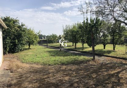 vente Terrain Vieillevigne