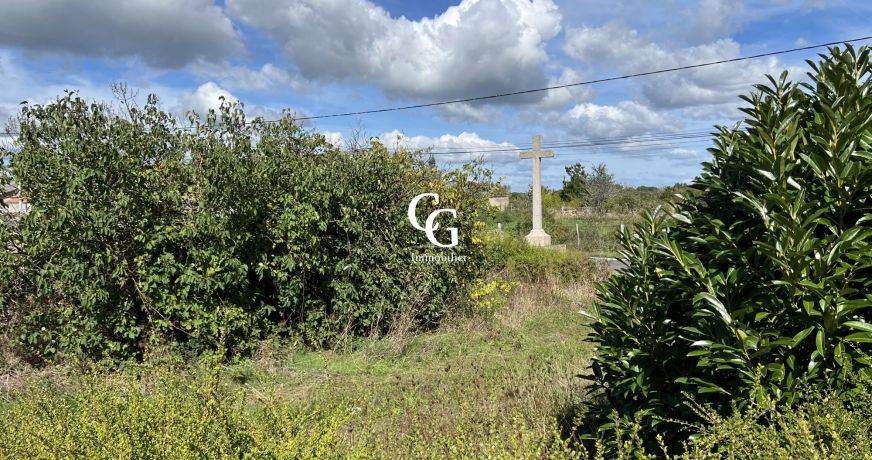 vente Terrain Aigrefeuille-sur-maine