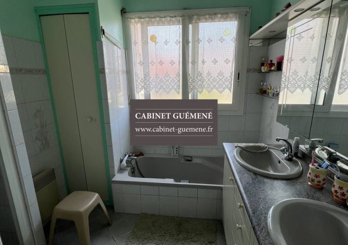 à vendre Maison Vieillevigne