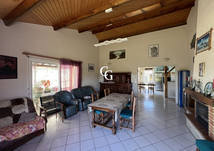 à vendre Maison Vieillevigne