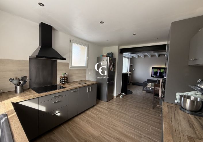 à vendre Maison Vieillevigne