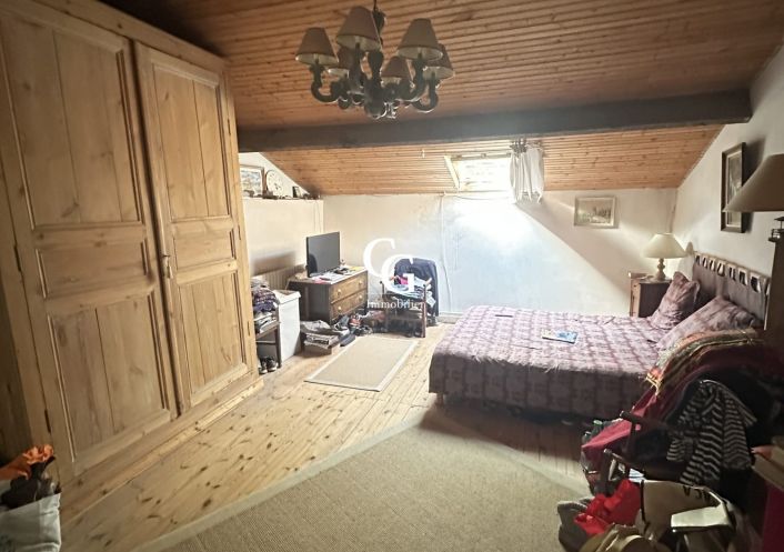 à vendre Maison Vieillevigne