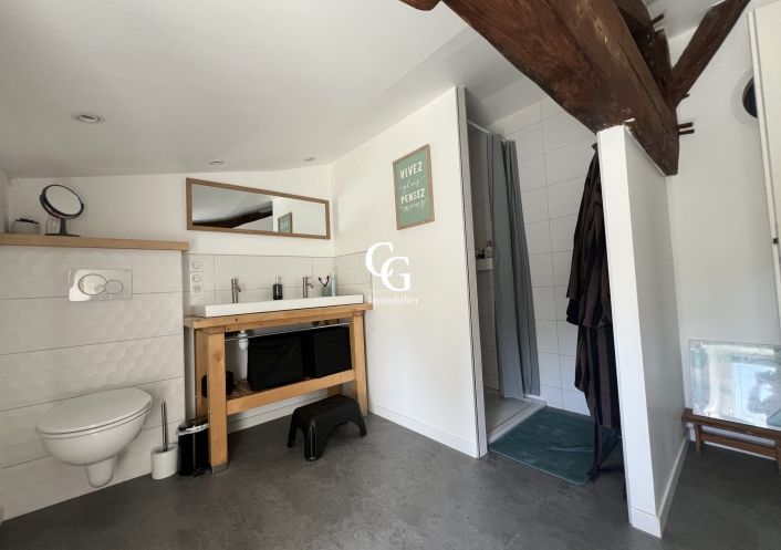 à vendre Maison Vieillevigne