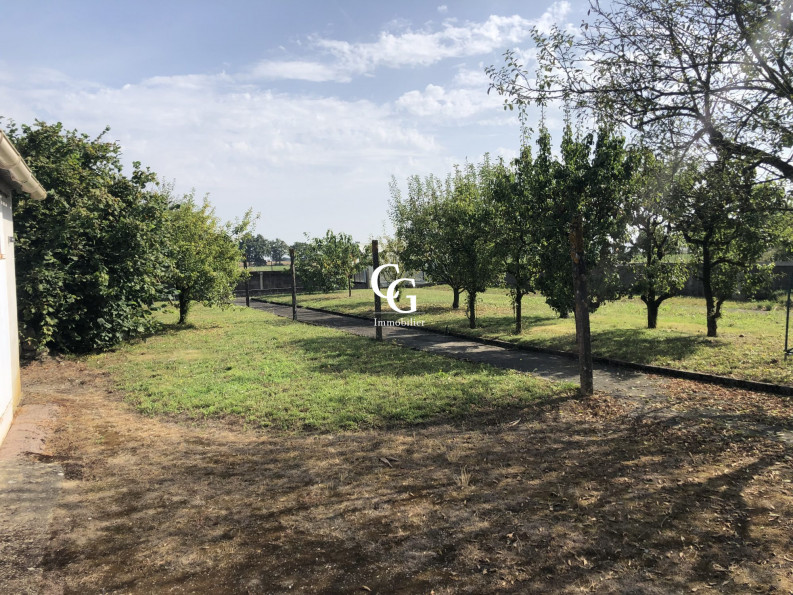 vente Terrain Vieillevigne - Photo 1