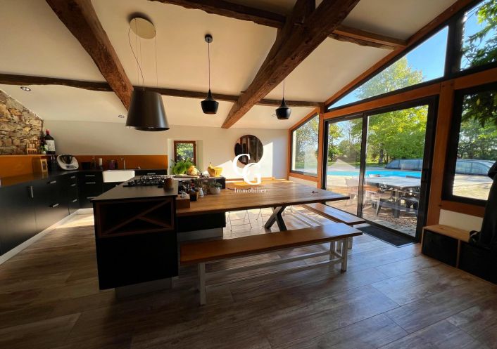 à vendre Maison Vieillevigne