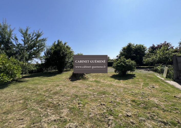 à vendre Maison Vieillevigne