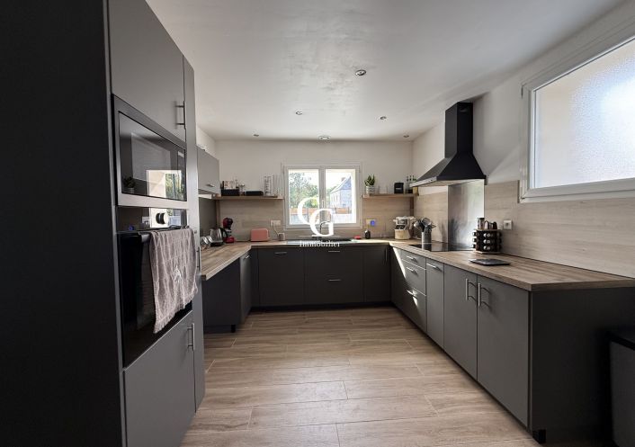 à vendre Maison Vieillevigne