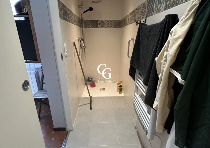 à vendre Maison Vieillevigne