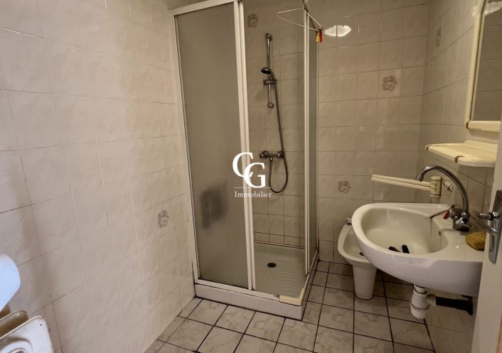 à vendre Maison Vieillevigne