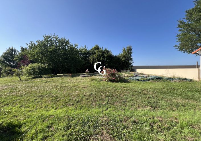 à vendre Maison Vieillevigne