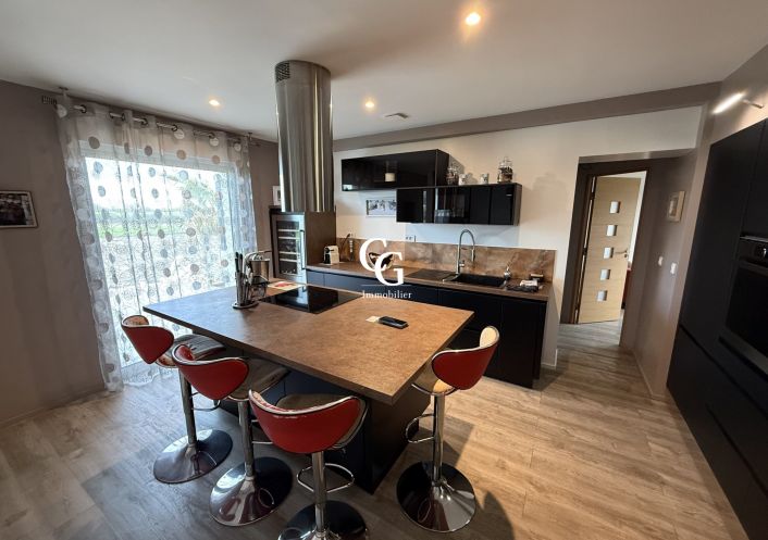 à vendre Maison Vieillevigne