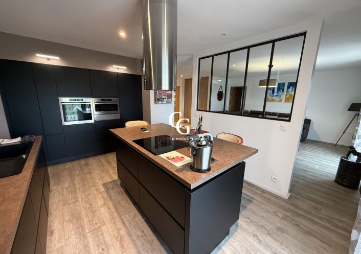 à vendre Maison Vieillevigne