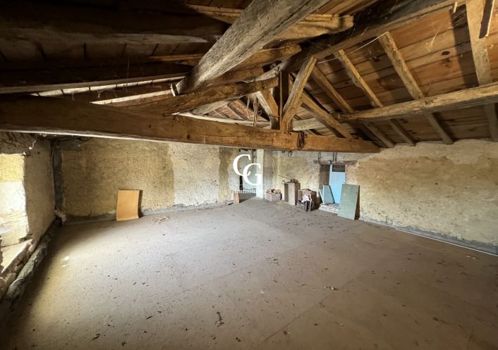 à vendre Maison Vieillevigne