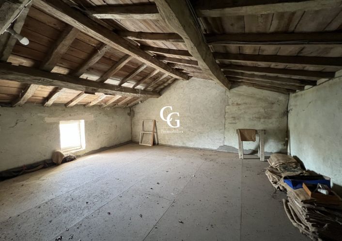 à vendre Maison Vieillevigne