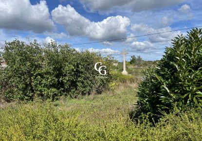 vente Terrain Aigrefeuille-sur-maine