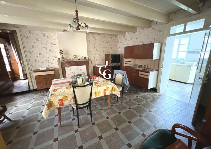 à vendre Maison Vieillevigne