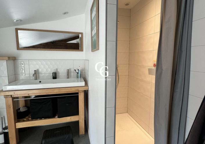 à vendre Maison Vieillevigne